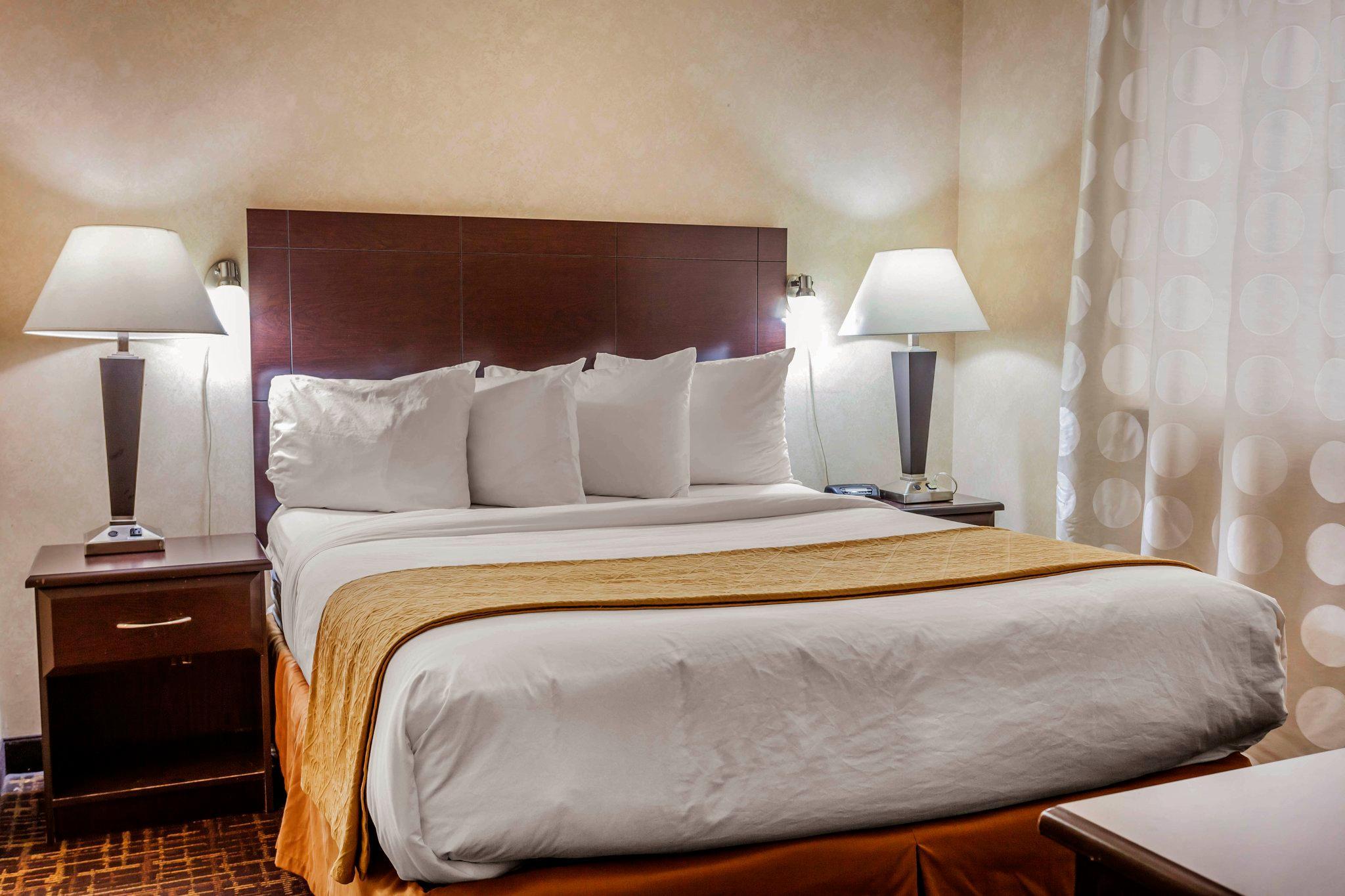 Quality Inn Arlington Eksteriør bilde